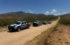 Más de 440 personas y 223 mil 413 envoltorios asegura operativo del Gobierno de Sonora en municipios