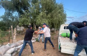 Realiza Gobierno de Hermosillo acciones preventivas para disminuir riesgos ante lluvias por Raymond