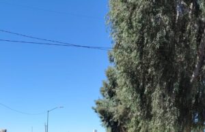 Intensifica Ayuntamiento de Hermosillo el mantenimiento de vialidades principales