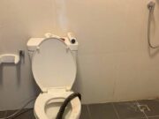 🐍 Una ida al baño que terminó en pesadilla: hombre es mordido por una serpiente