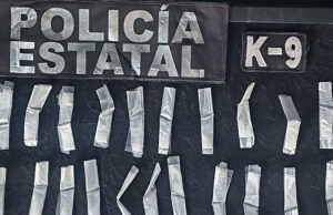 Incauta Policía Estatal 100 envoltorios con narcótico durante operativo en Hermosillo