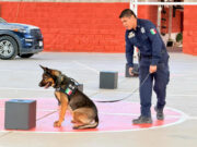 Policía Estatal en acciones para la prevención del delito en Los Olivos