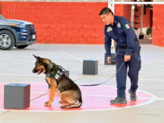 Policía Estatal en acciones para la prevención del delito en Los Olivos