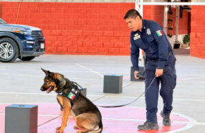 Policía Estatal en acciones para la prevención del delito en Los Olivos