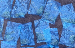 Incauta Policía Estatal 81 dosis de narcótico en el poblado Miguel Alemán