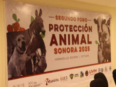 Gobierno de Sonora concluye con éxito el Foro de Protección y Bienestar Animal Sonora 2025