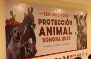 Gobierno de Sonora concluye con éxito el Foro de Protección y Bienestar Animal Sonora 2025