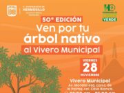 Habrá jornada de donación de árboles nativos el próximo viernes en Hermosillo