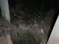 Captan a supuesto demonio dentro de un pozo en en Veracruz; video se viraliza