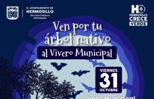 Invita Vivero Municipal a participar en la donación de árboles nativos en horario especial este viernes 31