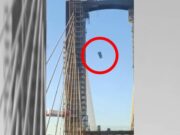 VIDEO: Baño portátil lleno cayó desde lo alto del Puente justo cuando pasaban varios carros