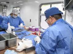 Realiza Ayuntamiento de Hermosillo más de 17 mil esterilizaciones caninas y felinas