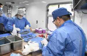 Realiza Ayuntamiento de Hermosillo más de 17 mil esterilizaciones caninas y felinas