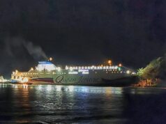VIDEO: Un ferry en Corea del Sur encalló porque el oficial al mando iba viendo su celular