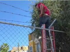 VIDEO: Se viraliza video de hombre atorado en malla con púas mientras intentaba robar