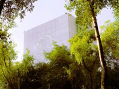 Senado conmemora el Día Mundial de la Adopción