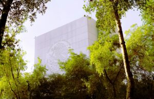 Senado conmemora el Día Mundial de la Adopción