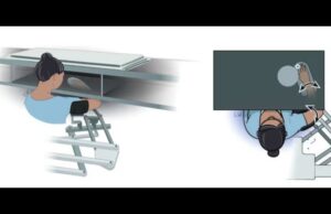 Cómo el cerebro ayuda a reaccionar más rápido ante imprevistos mediante señales anticipadas