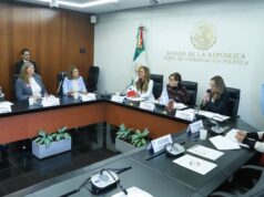 Se reúne la Comisión para la Igualdad de Género con legisladoras de Argentina