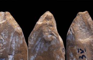 Encuentran ‘lápices’ de hace 42.000 años en una cueva y confirman que los neandertales sabían de arte
