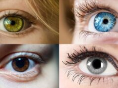 Alerta científica sin precedentes: confirman la presencia de plástico en el interior de la retina humana