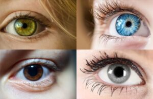 Alerta científica sin precedentes: confirman la presencia de plástico en el interior de la retina humana