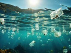 Científicos hallan microbios marinos que comen plástico