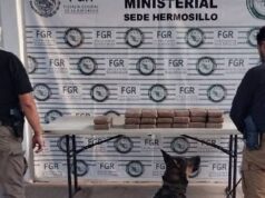 En empresa de paquetería de Hermosillo detectan 20 kilos de cocaína; fue decomisada por la FGR