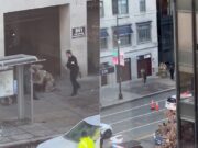 VIDEO: Dos miembros de la Guardia Nacional heridos graves en un tiroteo junto a la Casa Blanca