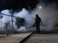 Salud Sonora fumiga más de 154 mil hectáreas contra el dengue en 283 localidades