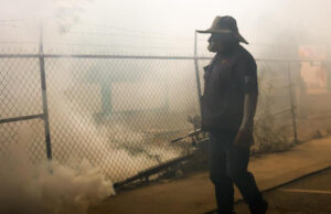Mantiene Salud Sonora vigilancia y acciones de control del dengue en Sonora