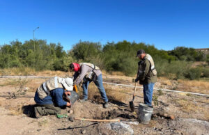 Bosque Urbano La Sauceda concluye la reforestación en el Polígono Sureste “La Oreja”