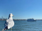 Alumnos de Cobach y Conalep Sonora destacan en concurso nacional de fotografía