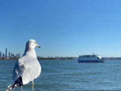 Alumnos de Cobach y Conalep Sonora destacan en concurso nacional de fotografía