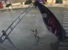 VIDEO: Paracaidista queda atorado en un semáforo; C5 capta el insólito momento