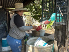 Exhorta Secretaría de Salud mantener hogares limpios contra rickettsia y dengue