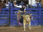 Setur lleva a cabo con gran éxito la 4ta edición del Circuito de Rodeo