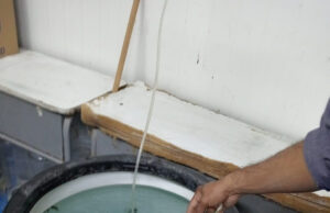 Fortalece Universidad del Pueblo Yaqui modelo productivo de soberanía alimentaria