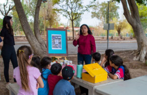 Bosque Urbano La Sauceda, ejemplo de recuperación ambiental y participación ciudadana en Sonora
