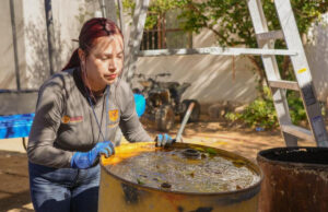 Continúa Salud Sonora con acciones de prevención del dengue en la entidad