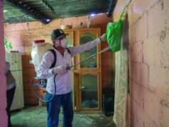 Salud Sonora intensifica prevención y seguimiento de casos de fiebre manchada