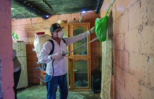 Salud Sonora intensifica prevención y seguimiento de casos de fiebre manchada