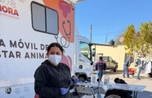 Bienestar Animal impulsa jornada gratuita de esterilización en Bacerac