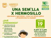 Convocan a Taller “Una Semilla X Hermosillo” para transformar la ciudad