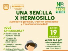 Convocan a Taller “Una Semilla X Hermosillo” para transformar la ciudad