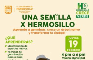 Convocan a Taller “Una Semilla X Hermosillo” para transformar la ciudad
