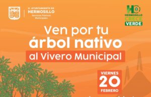 Este viernes 20 el Vivero Municipal donará árboles nativos