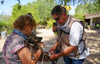 Acciones simples ayudan a prevenir rickettsiosis y dengue: SSP