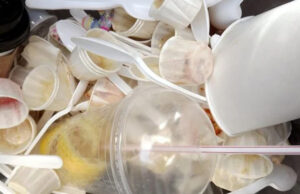 Hito para la esperanza: investigadores españoles crean envases biodegradables a base de harina y residuos de algas