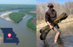 Hallazgo histórico: un paleontólogo descubre un enorme hueso prehistórico de un río en Missouri
